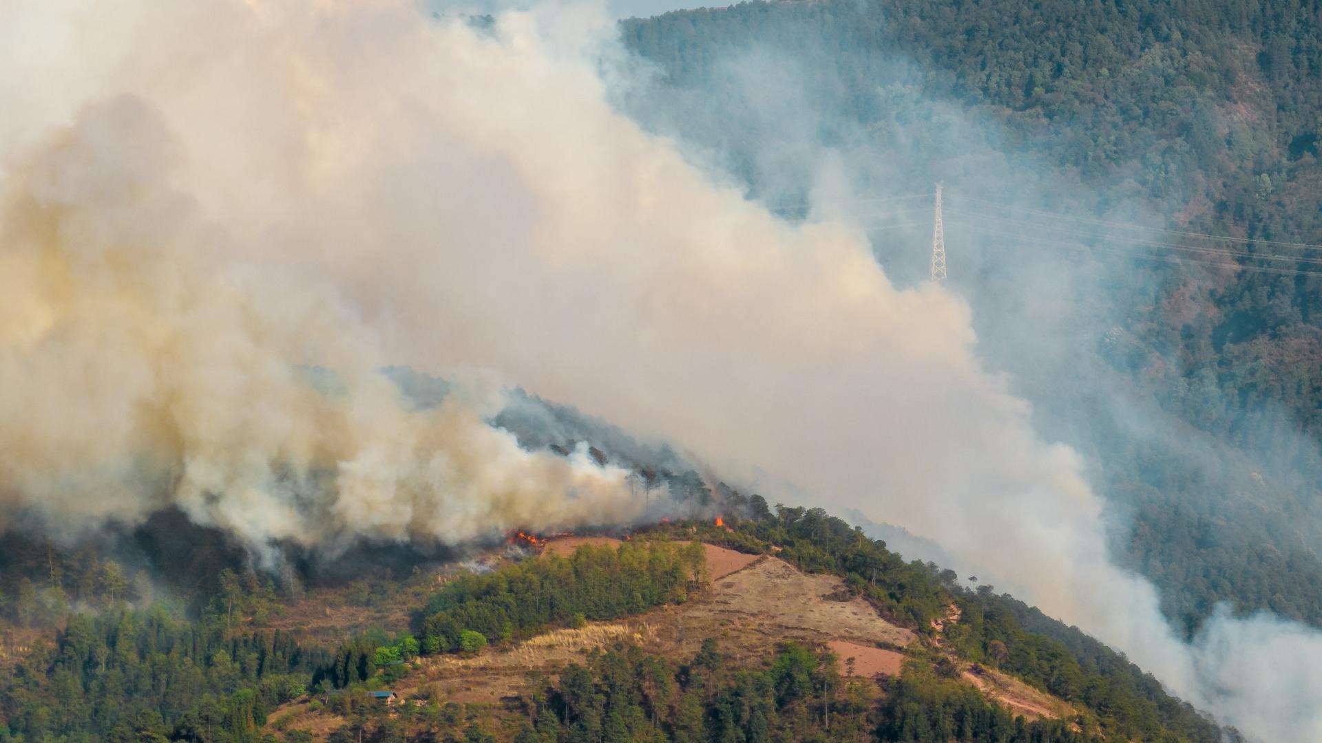 Forest Fires in Himachal: A Systemic Land Use and Rural Economy Crisis