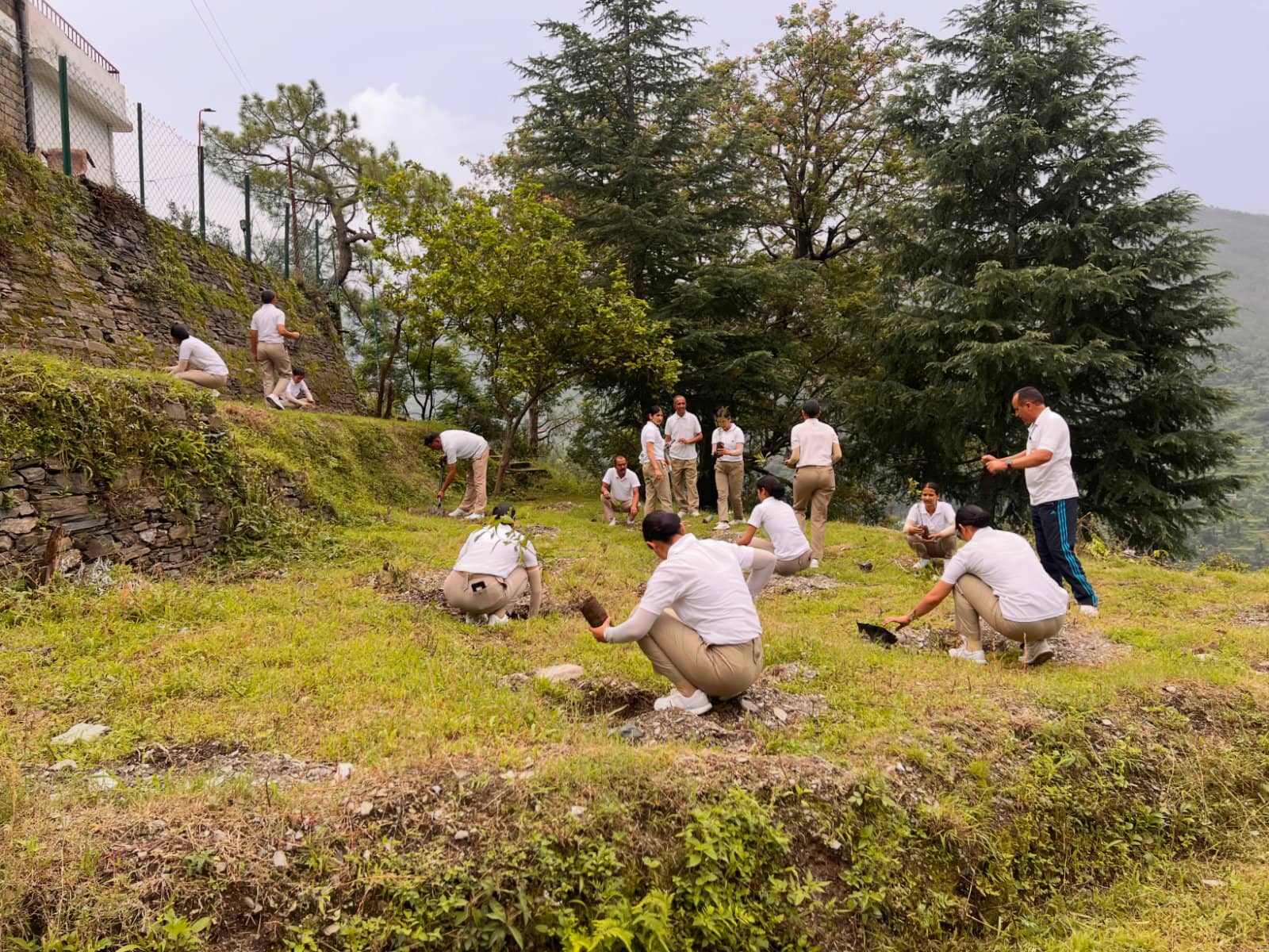 PSPK Conducted Large-Scale Tree Plantation Campaign Across Himachal Pradesh in 2025