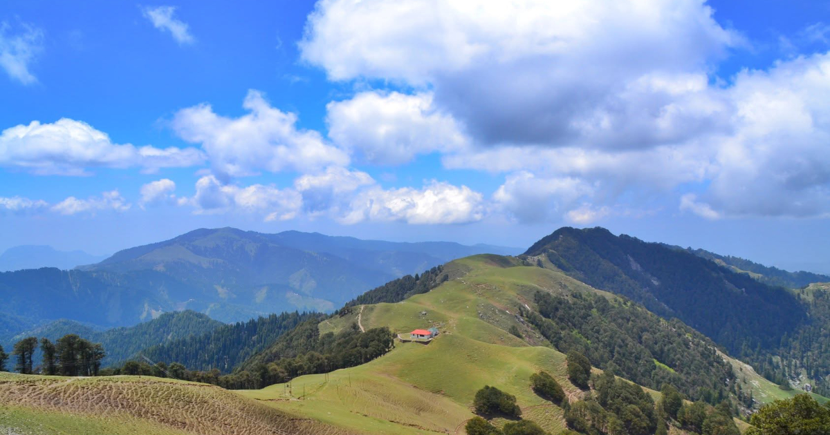 Shikari Devi Wildlife Sanctuary: Development Without Ecological Accountability?